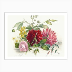 Dahlias 3 Art Print