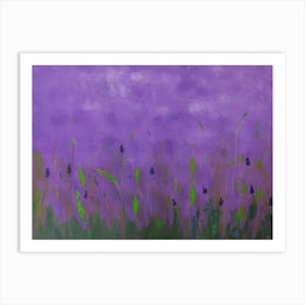 Lavender Field Art Print