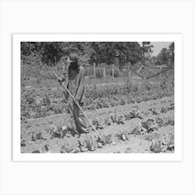 Fsa (Farm Security Administration) Client Hoeing Garden, Sabine Farms, Marshall, Texas By Russell Lee Art Print