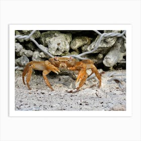 Crab In The Sand rocks maldives Art Print