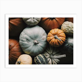 Colorful Pumpkin Harvest Art Print