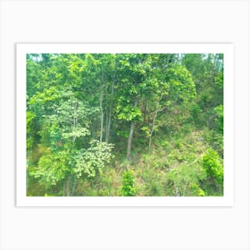 Forests 6 By Binod Dawadi Art Print