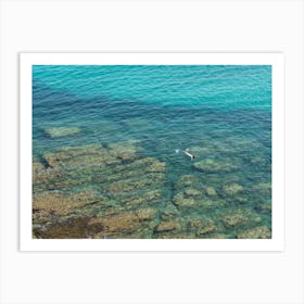 Swimming in clear, turquoise blue sea water Art Print
