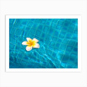 Tropical Flower In The Pool Art Print