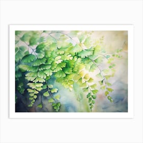 Watercolor Of Ferns Art Print