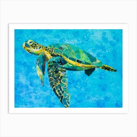 Floating Green Sea Turtle Art Print