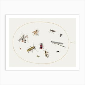 Eleven Insects, Including A Dragonfly And Longhorn Beetle (1575–1580), Joris Hoefnagel Art Print