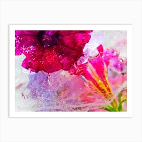 Flowers In Water Art Print