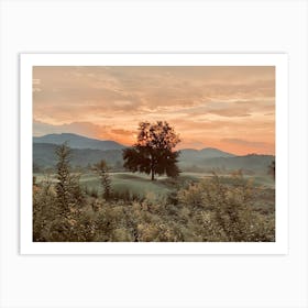 One Tree Hill at Sunset Art Print