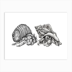 Hermit Crab Friends Black and White Ink Illustration 1 Art Print