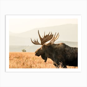 Open Range Moose Art Print