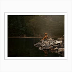 Cocker Spaniel Puppy Standing On Rocks By The Lake- Scotland Highland UK dog photo print - moody animal photography Art Print