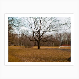 Autumn Leaves In The Park 1 Art Print