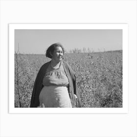 Indian Woman, Near Little Fork, Minnesota By Russell Lee Art Print