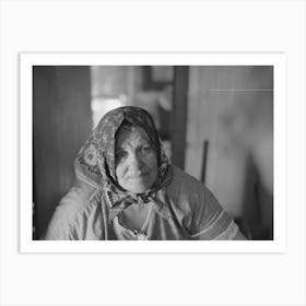 Wife Of Bohemian Farmer Near Black River Falls, Wisconsin By Russell Lee 1 Art Print