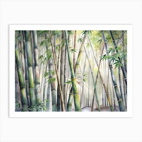 Bamboo Forest 1 Art Print