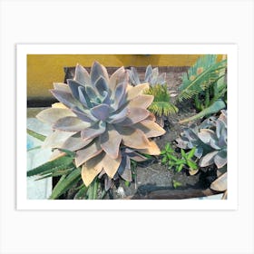 Lotus By Binod Dawadi Art Print