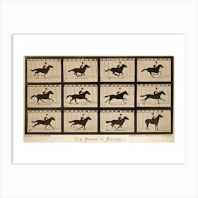 The Horse In Motion Animal Locomotion Art Print