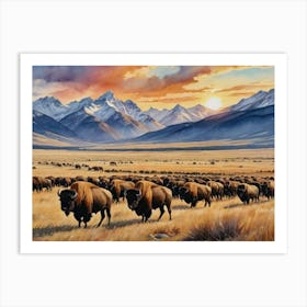 Herd Of Bison Grasslands Art Print