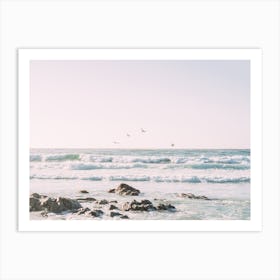 California Coast Sunset Pelicans Art Print