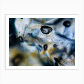 Liquid Under The Microscope Abstract Textures And Colors Art Print