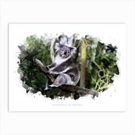 Healesville Sanctuary, Yarra Valley, Victoria Art Print