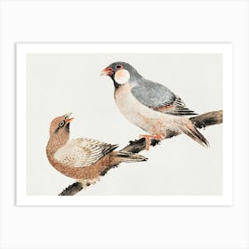 Hokusai Chinese Birds Art Print