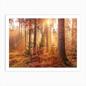 Warm Autumn Sunrise Art Print