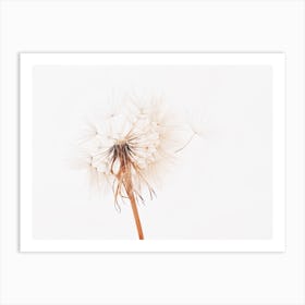 Beige Dandelion Art Print