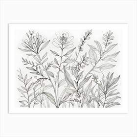 Wildflowers Art Print