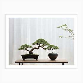 A Meticulously Cared For Bonsai Tree Captured In A Minimalist Setting Its Intricate Branches Delic Art Print