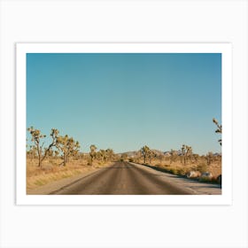 Joshua Tree Road on Film Art Print