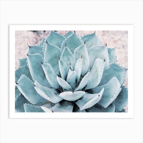 Blue Desert Agave Art Print