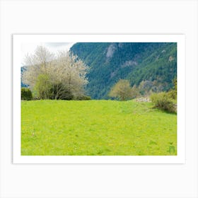 Pyrenees II 20210502 71ppub Art Print