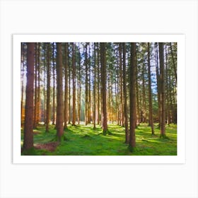 Forest In The Sun 1 Art Print