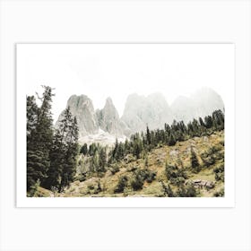 Rocky Mountain Forest Art Print
