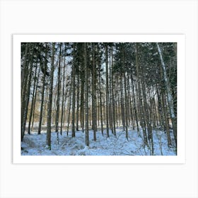 Snowy Forest 10 Art Print