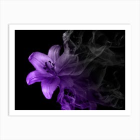 Purple Lily Art Print