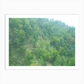 Trees 5 By Binod Dawadi Art Print