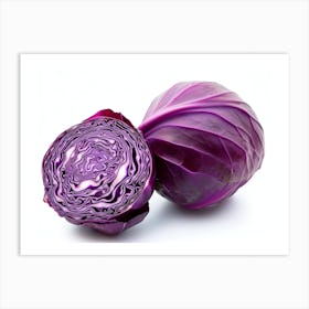 Red Cabbage (2) Art Print