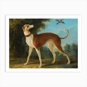 Greyhound In A Landscape, Jean Baptiste Oudry Art Print