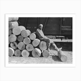 Resting On Pile Of Logs To Be Loaded Into Box Car, Eudora, Arkansas, These Logs Will Be Shipped To Tallulah, Louisiana Art Print