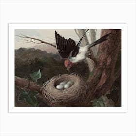 Bird In A Nest 2 Art Print