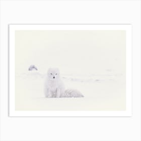 White Arctic Fox Snowy Landscape Art Print