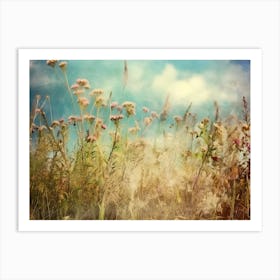 Wildflowers In The Meadow Art Print