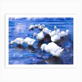 Ducks in lake like a fairy Art Print