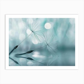 Dandelion 25 Art Print