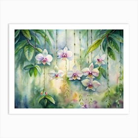 2 Orchids Hanging Gracefully In The Rainforest (1) Art Print