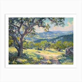 Western Landscapes Texas Hill Country 2 Art Print