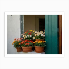 Flower Pots On A Window Sill Art Print